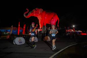 BIB: 
                            <button type="button" onclick="openModal(26551988)" class="btn btn-primary btn-sm float-right btn-popup" data-toggle="modal" data-target=".modal-high-quality">
                        <i class="fas fa-shopping-cart"></i> Add to Cart
                    </button>
                                            <button type="button" onclick="isThisMe(26551988, true)" class="btn btn-success btn-sm float-right btn-popup btn-isme hidden" data-toggle="tooltip" data-placement="bottom" title="นี่คือรูปของคุณใช่ไหม คลิกที่นี่เพื่อเอาเข้าอัลบั้ม">
                        <i class="fas fa-plus"></i> Add to album
                    </button>
                    <button type="button" onclick="isThisMe(26551988, false)" class="btn btn-warning btn-sm float-right btn-popup btn-isnotme hidden">
                        <i class="fas fa-ban"></i> Remove from album
                    </button>